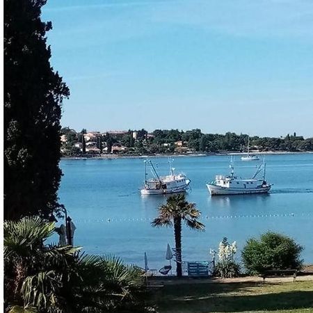 Apartment Villa Angelina, 70M From The Beach, Free Parking Novigrad Istria Exterior foto