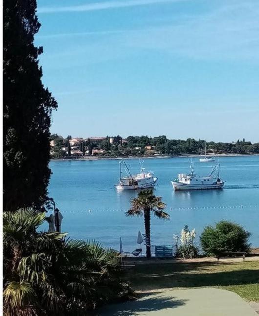 Apartment Villa Angelina, 70M From The Beach, Free Parking Novigrad Istria Exterior foto