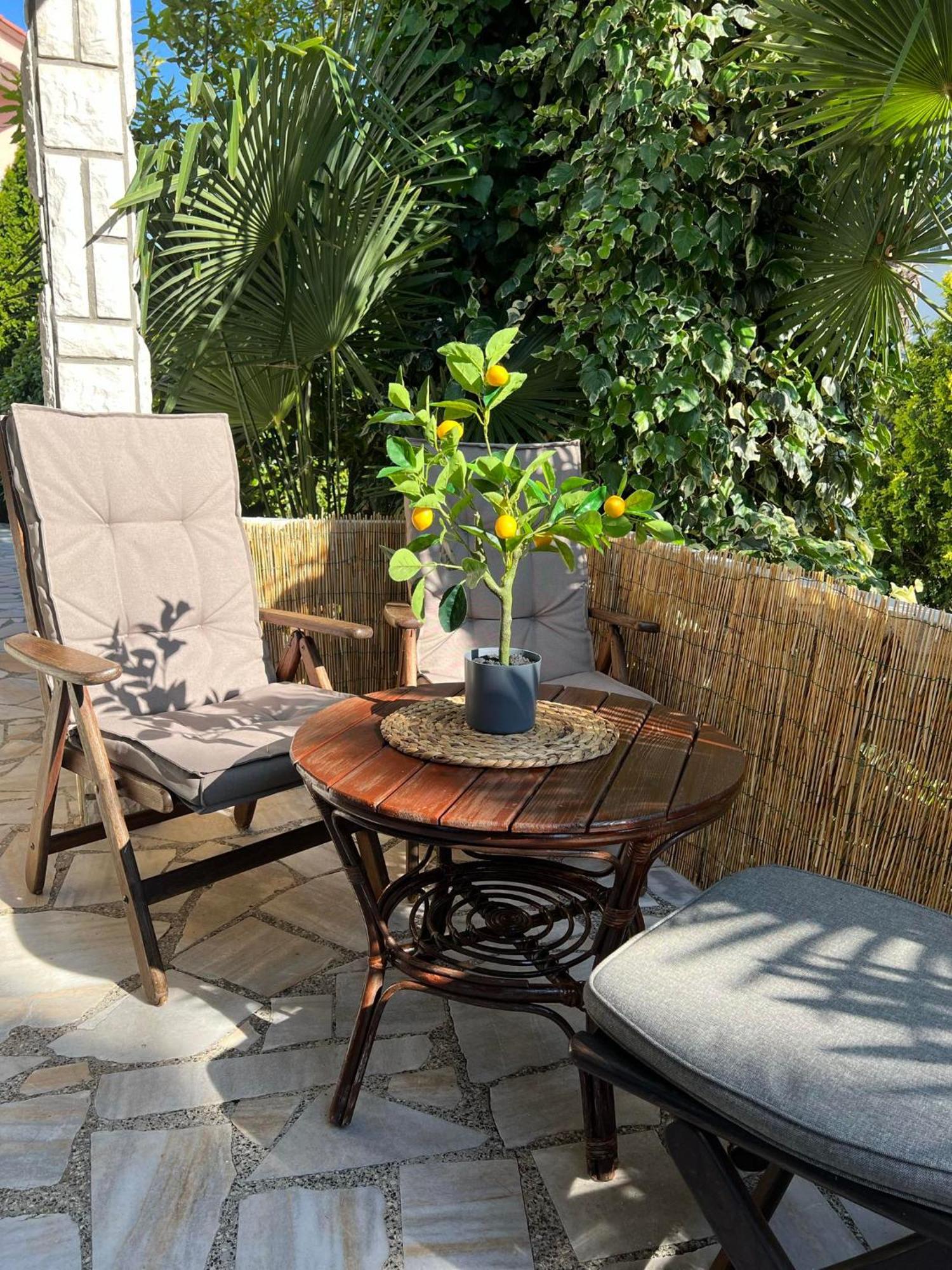 Apartment Villa Angelina, 70M From The Beach, Free Parking Novigrad Istria Exterior foto